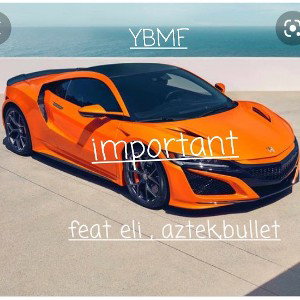YBMF IMPORTANTFEATELIDAP& AZTEK & BULLETG_
