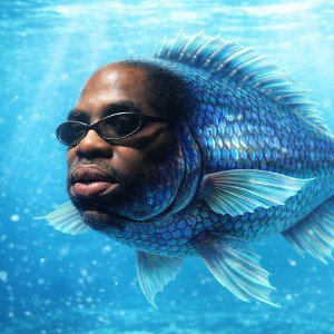 Schwuler RapFame Fisch