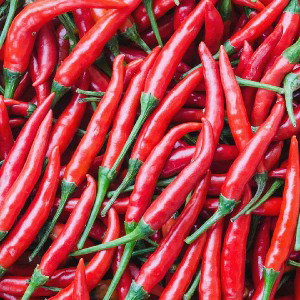Hot Sauce