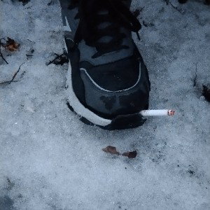 ТПОЧЕК (ЯЖЕМАЙКА)