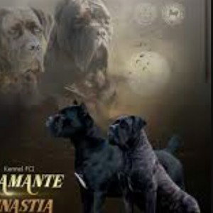 Amante_NastiA__enede_diee16