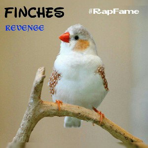 Finches