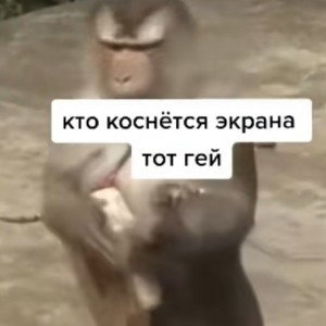 супер друг