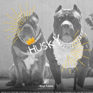 husky