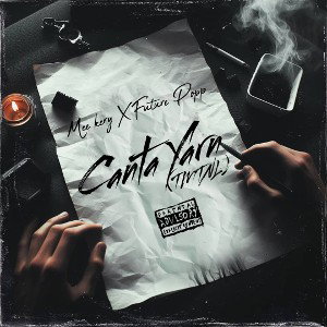 Mee Kery {TMTNL} Canta Yarn