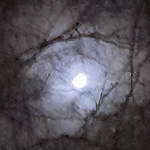 По еблу