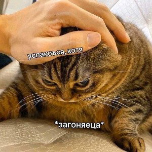 скажут