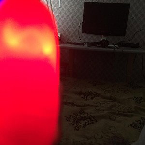 СТАЛЬНОЙ БЛАНТ