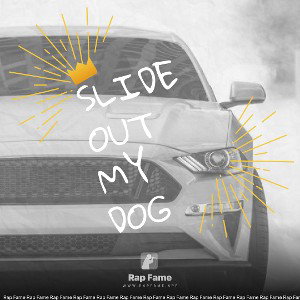 Slide out my dog