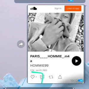 DIFFERENT_VOICES__FREESTYLE_HOMMIE99