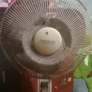 se cayó el ventilador pana vox  (basado en hechos reales)