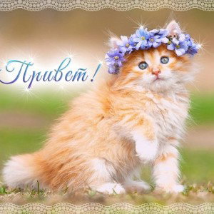 украина. я. в. ахуе