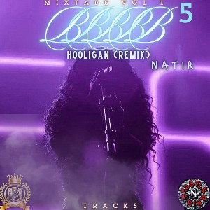 B5 Mixtape Vol 1 - Track 5 - Hooligan (Remix) Ft Natir