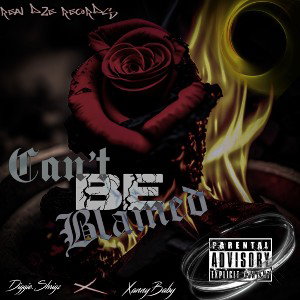 CantBeBlamed