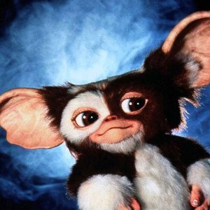  SUPER GREMLIN _FREESTYLE 2022_