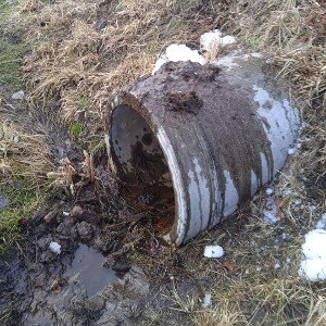 негр в поносе