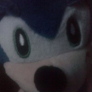 SONIC THE HEDGEHOG -TAKE ONE FOR DA TEAM (FEAT.BLUELXRD)