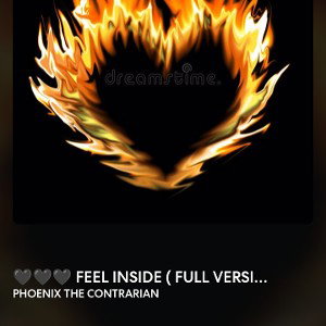 PHOENIX THE CONTRARIAN - 🖤🖤🖤 FEEL INSIDE _ FULL VERSION_ 🖤🖤🖤 2022-11-17 15_11