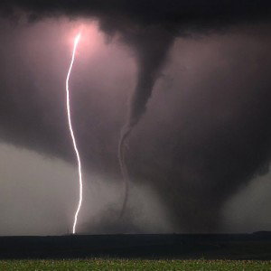 PHOENIX THE CONTRARIAN - ⛈️ WEATHER UPDATE FROM UPSTATE ⛈️ 2022-09-20 17_31
