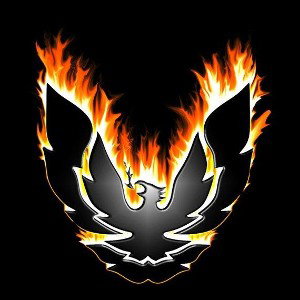 PHOENIX THE CONTRARIAN - SAVAGE STATE OF MIND  2022-10-28 07_47