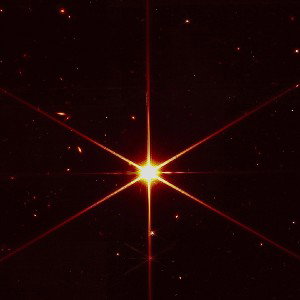 PHOENIX THE CONTRARIAN - 🌟🌟🌟 YOURE A STARR 🌟🌟🌟 2022-05-25 01_14
