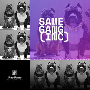 Same Gang (INC)