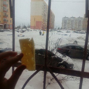 Трек про еду