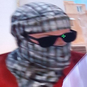 машина или шина