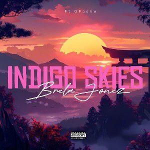 Indigo Skies
