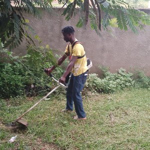  Romix Côte divoire 🇨🇮®️ 