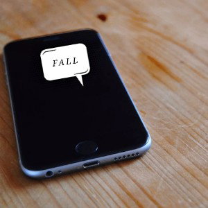 FALL (Version 1.0)