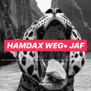 HAMDAX WEG• gaf 