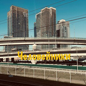 Человейники