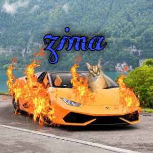 zima