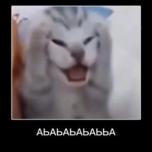абебеб