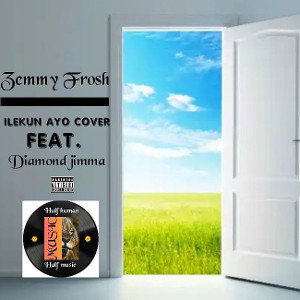 Zemmy_frosh ilekun Ayo cover