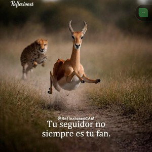 solo pelea con la razón 