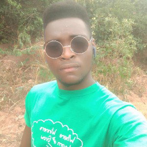 sky king mi girl