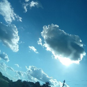 Dreaming 