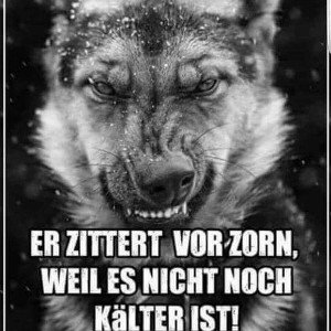 " Frieden im Gebiet "