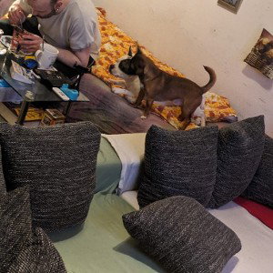 " Switch-Maßnahme "