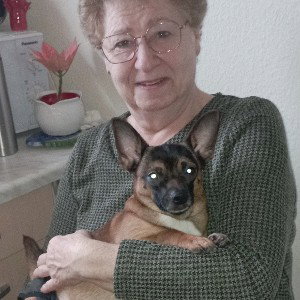 seltsamerweise 