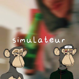 x so - Simulateur 
