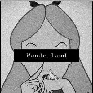 👾👾WONDERLAND👾👾