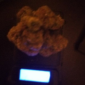 #Fire