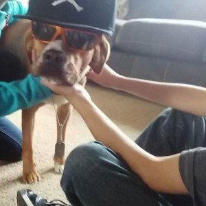 RIP pebbles