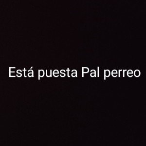 está puesta Pal perreo 