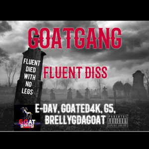 Fluent Diss