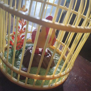caged lost