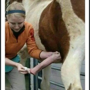 ʙᵃᵈᵉⁿ ɪⁿ sᵃ̈ᵘʳᵉ 
